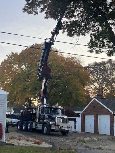 How to Reduce the Cost of Tree Removal in Franklin Park, PA?