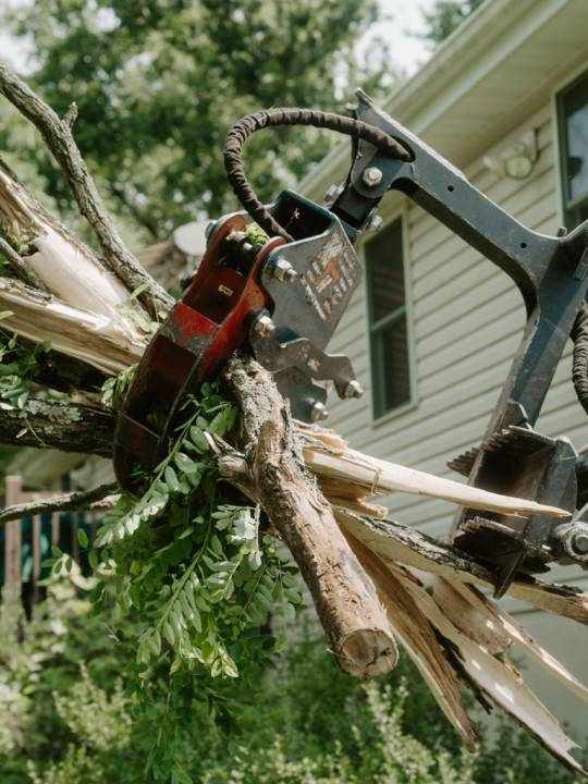 Tree Service in Beaver Falls, PA