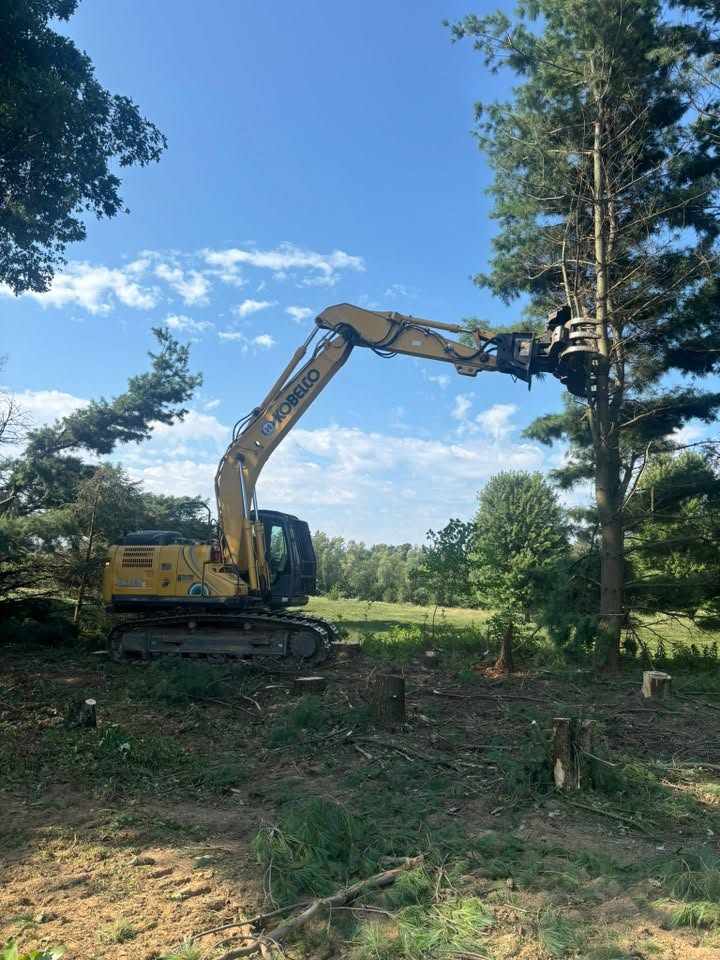 Tree Service Near Glade Run Adventures, Zelienople, PA