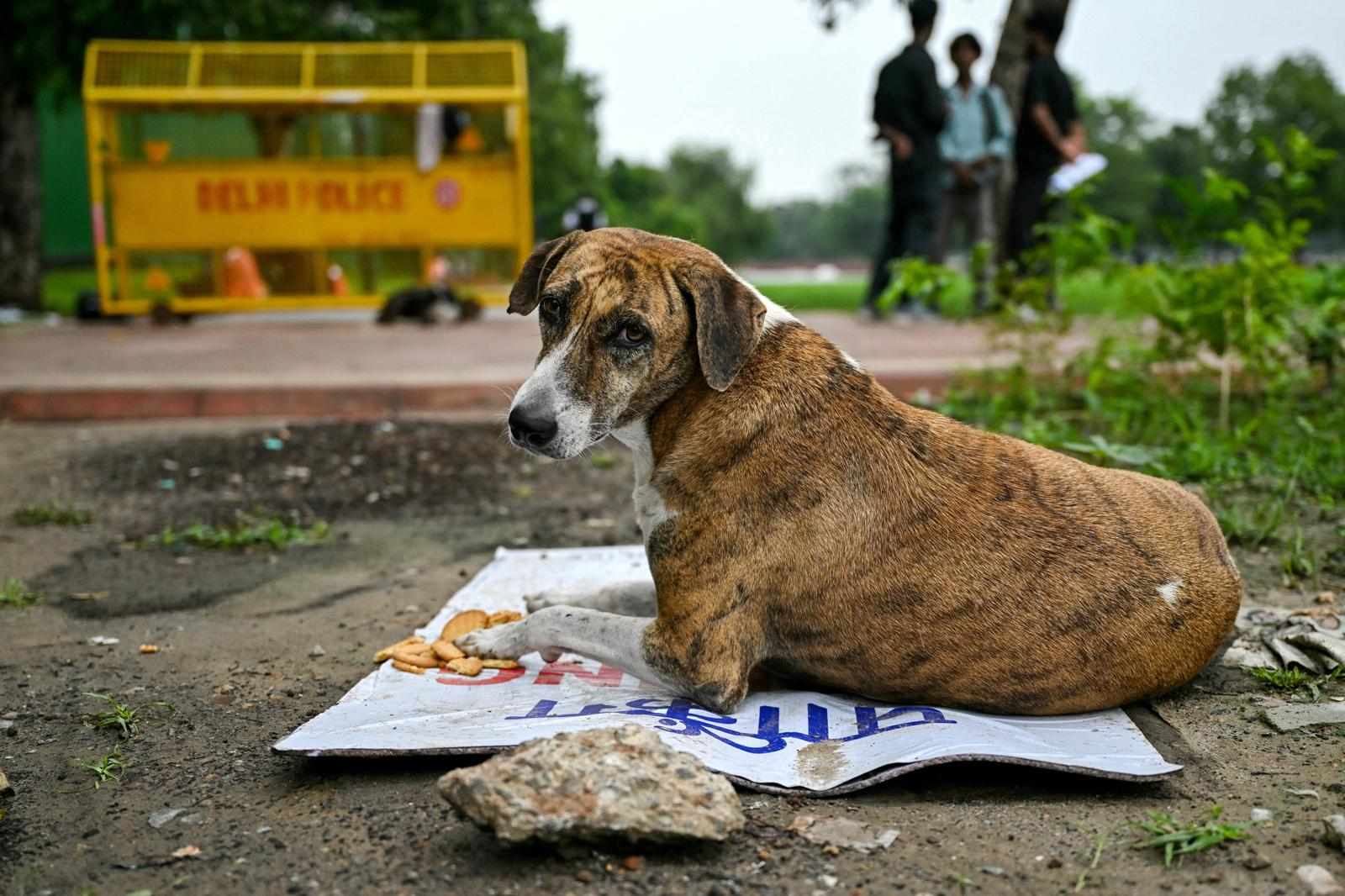 In time of outrage, support journalism that informs – not inflames