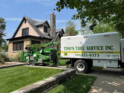 What is the Average Cost of Tree Removal in My Area in Pleasure Ridge Park, Louisville?