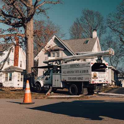 Who Is Responsible for Removing a Tree That Falls on Your Property in Boardman, Ohio?