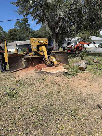 Can I Chop Down a Tree in My Backyard in The Villages, FL?