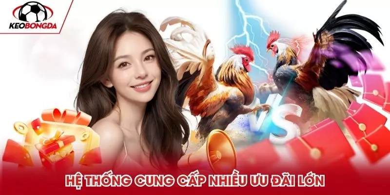 Vì sao nên chọn top nhà cái uy tín khi chơi cá cược