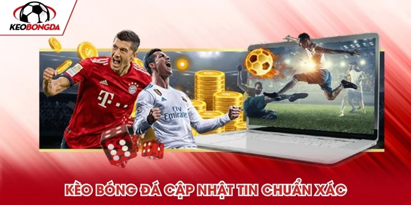 Hướng dẫn soi kèo nhà cái dành cho người mới chơi