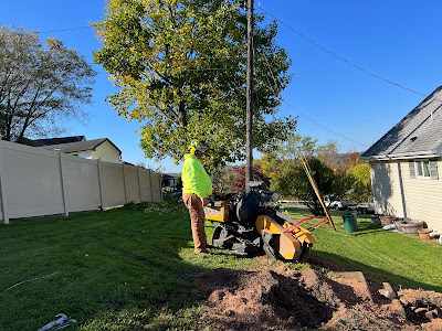 How to Grind a Stump with a Stump Grinder in Plum, PA