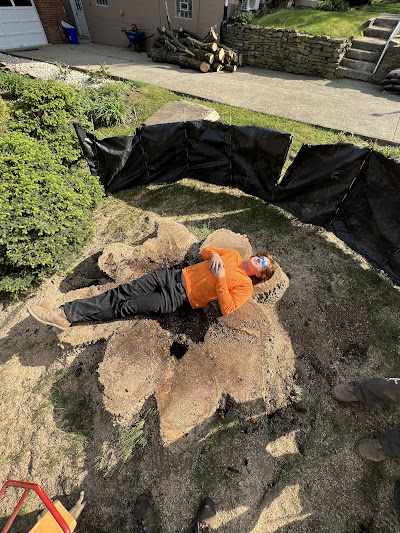 Why Is Tree Removal So Expensive in Plum, PA?