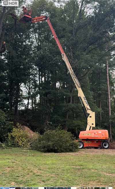 How to Reduce the Cost of Tree Removal in Monroeville, PA?