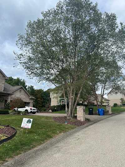 What is the Cheapest Time of Year for Tree Removal in Irwin, PA?