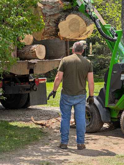 How to Grind a Stump with a Stump Grinder in Wheatfield, NY?