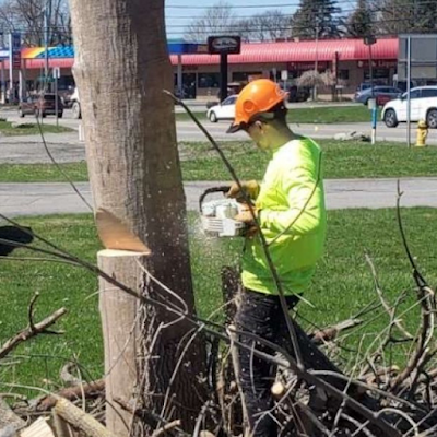 What is the Average Cost of Tree Removal in My Area in Wheatfield, NY?