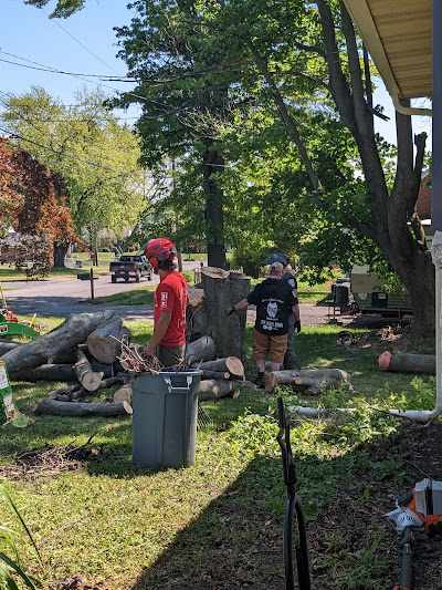 What is the Average Cost of Tree Removal in York, PA?