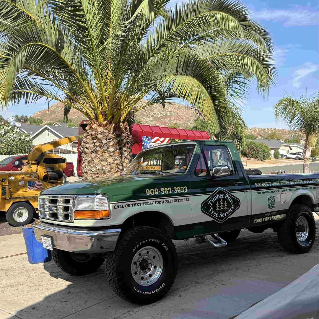 How Much Does Tree Trimming Cost in Fontana, CA?