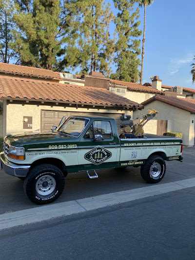 How to Reduce the Cost of Tree Removal in Fontana, CA?