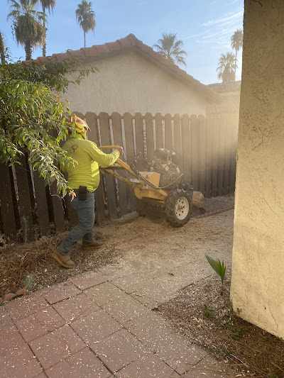 What is the Average Cost of Tree Cutting in Fontana, CA?