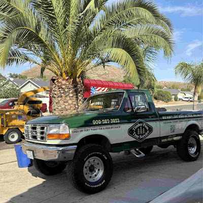 What is the Cheapest Time of Year for Tree Removal in Fontana, CA?