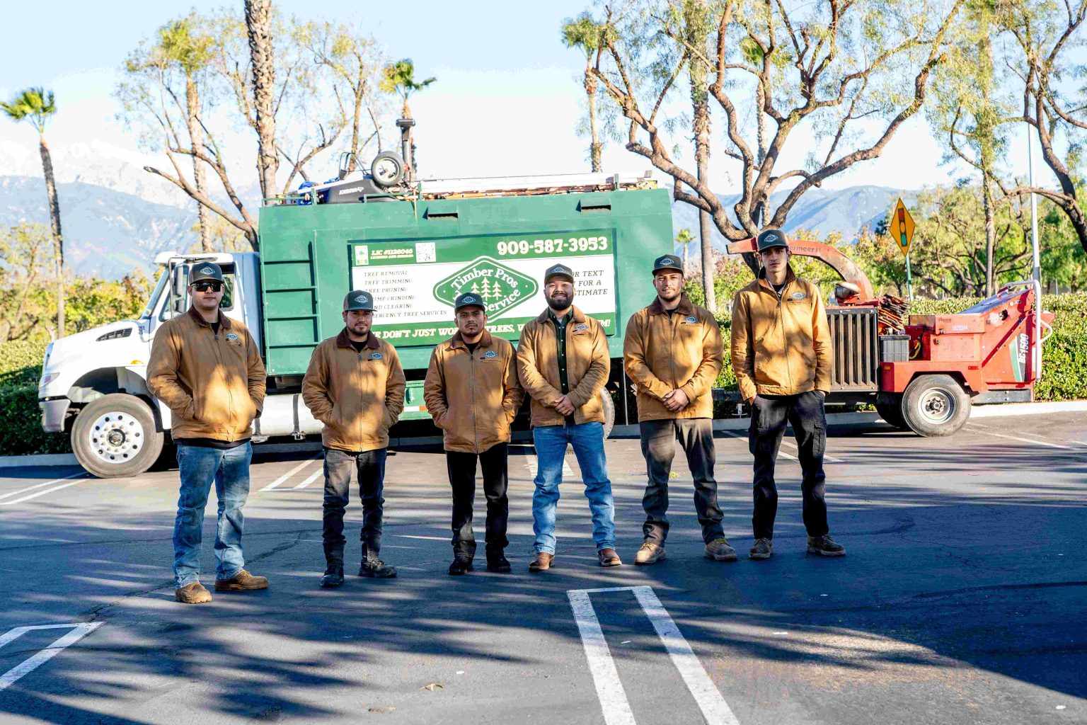 Seasonal Tree Care Tips for Colton, CA Homeowners