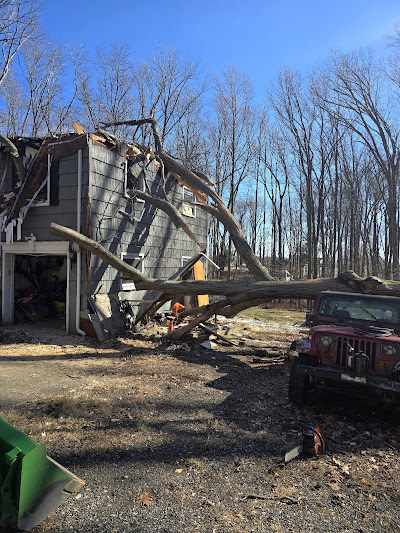 What is the Average Cost of Tree Cutting in Baltimore, MD?