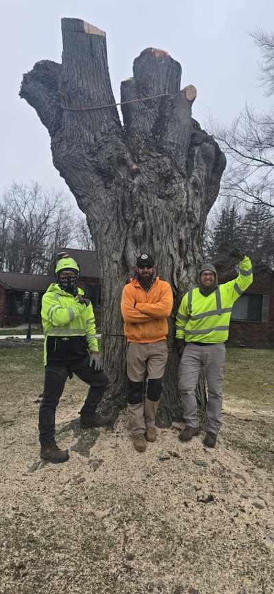 What is the Cheapest Time of Year for Tree Removal in Buffalo, NY?