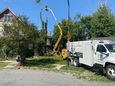 Tree Service in Lancaster, NY: Understanding Seasonal Tree Risks Before Storm Season