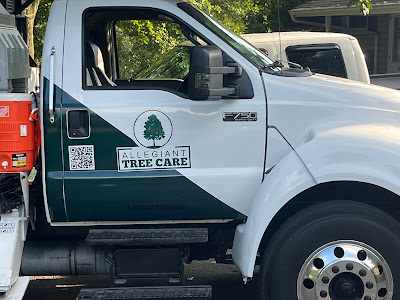 How Much Does Tree Removal Cost in Lancaster, PA?
