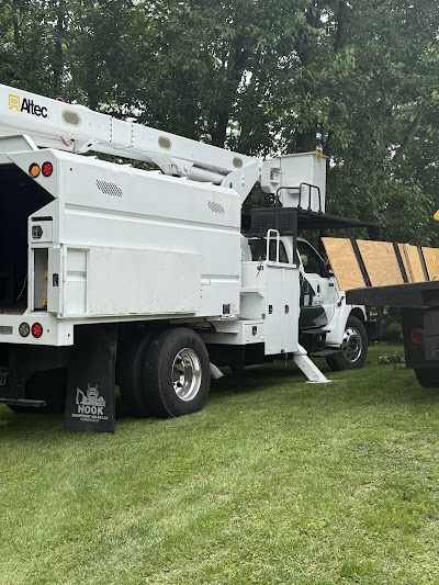 How to Reduce the Cost of Tree Removal in Lancaster, PA?