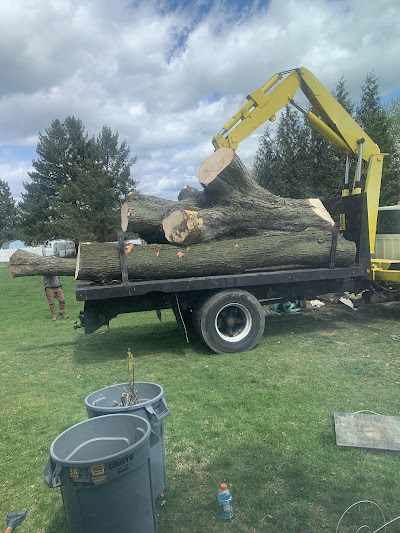 What is the Average Cost of Tree Removal in Lancaster, PA?