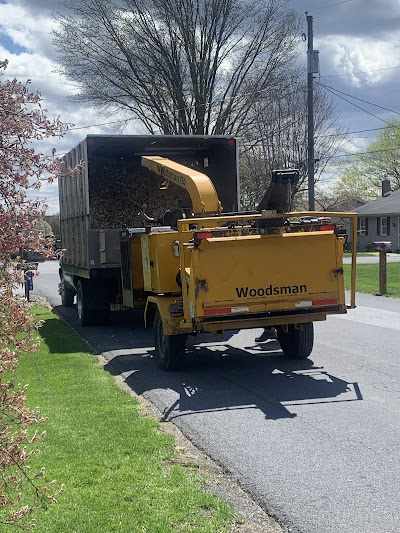 What is the Cheapest Time of Year for Tree Removal in Lancaster, PA?