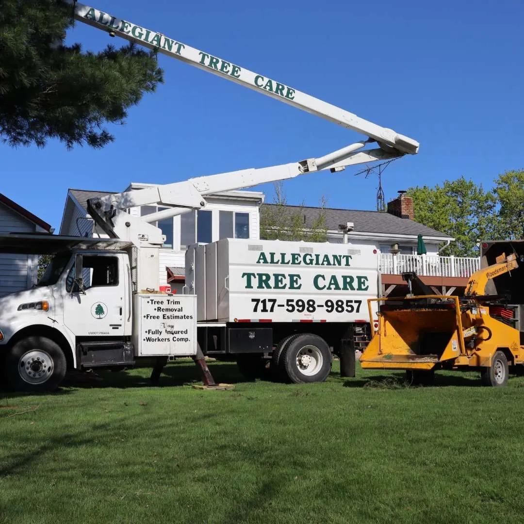 Tree Service in Lititz, PA: How Seasonal Weather Can Affect Trees Around Your Home
