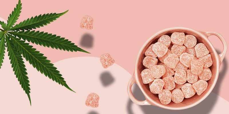 Terra Pro CBD Gummies : Official for Legit Gummy Reviews! Reduce Pain!