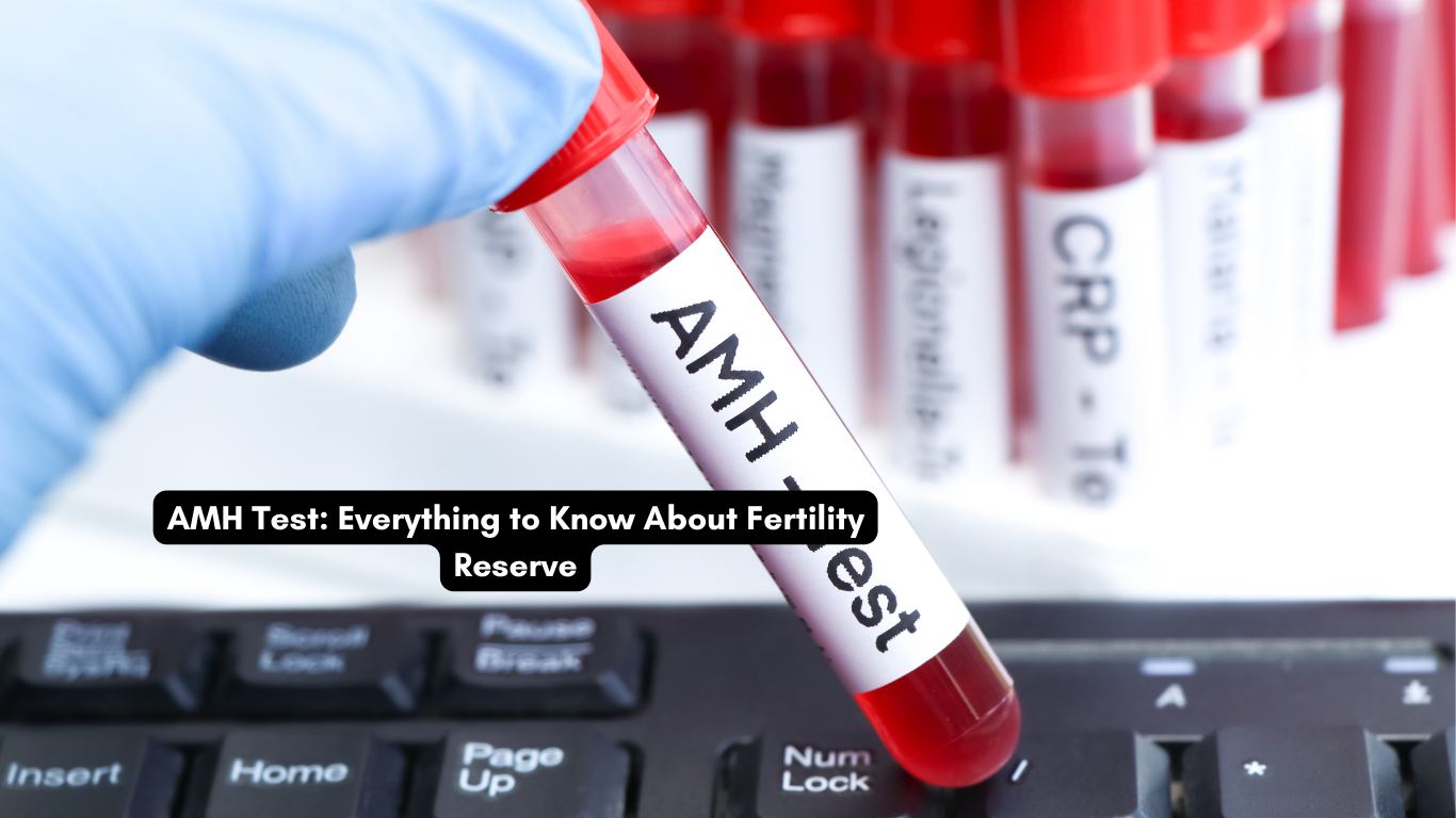 AMH Test: Everything to Know About Fertility Reserve