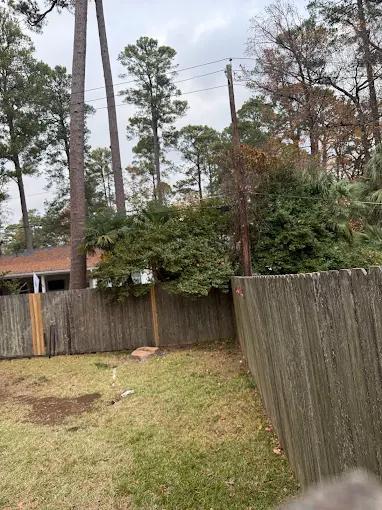 Tree Service in Springlake-University Terrace, Shreveport, LA