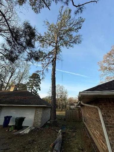 Tree Service Near Mooretown Park, Shreveport, LA