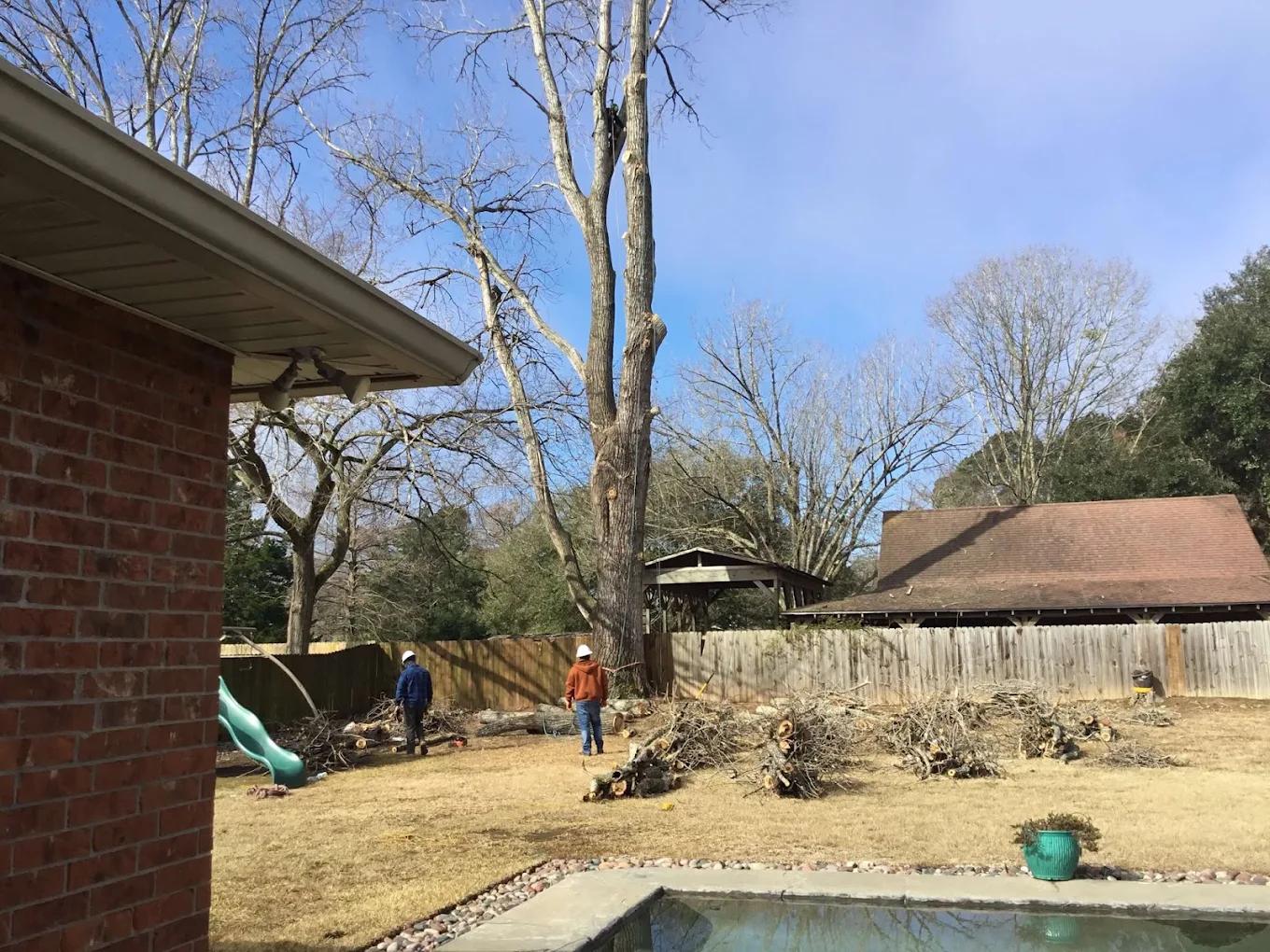 The Best Tree Removal Service in Hyde Park, Brookwood & Southern Hills, LA
