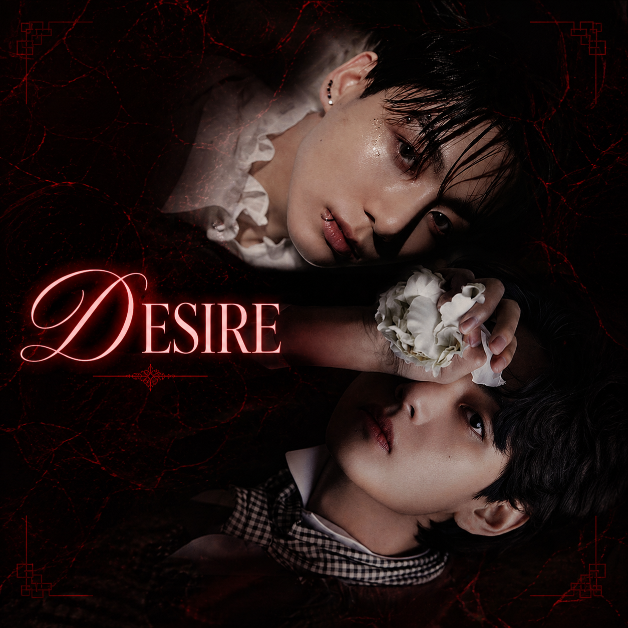 𝒞𝑜𝓁𝓁𝑒𝒸𝓉𝒾𝑜𝓃 𝑜𝒻 𝒟𝑒𝓈𝒾𝓇𝑒