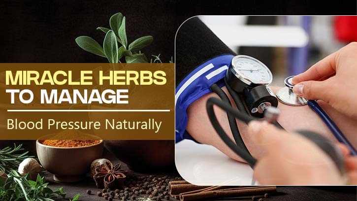 Miracle Herbs to Manage Blood Pressure Naturally