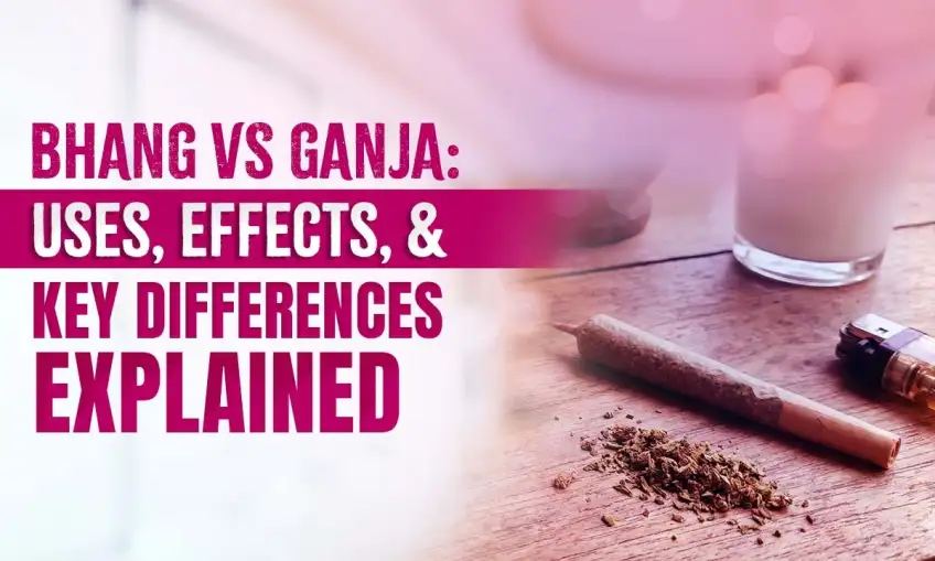 Bhang vs Ganja: Key Differences, Effects, Uses and Health Risks