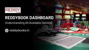 Reddybook Dashboard Overview: Understanding All Available Options