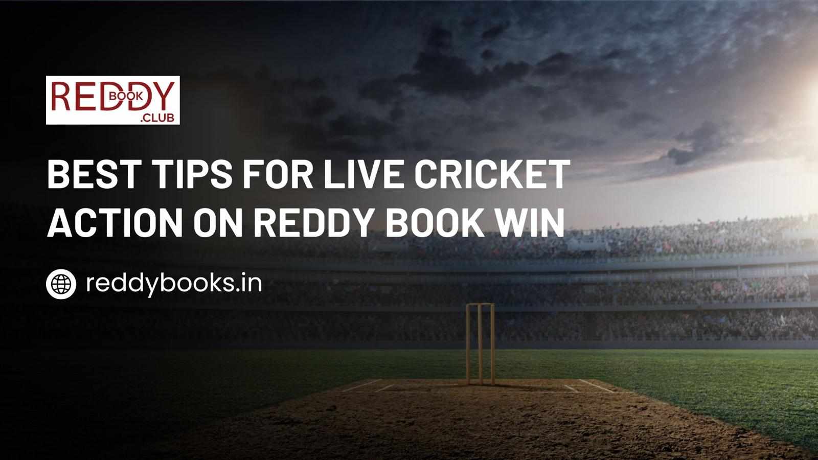 Best Tips for Live Cricket Action on Reddy Book Win