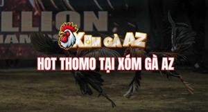 Hot Thomo – Tổng Hợp Các Trận Đấu Hay Nhất Thomo Hàng Ngày