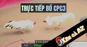 Trực Tiếp Bồ CPC3 Mới Nhất Tại Xóm Gà AZ