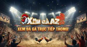 XÓM GÀ AZ - XEM ĐÁ GÀ TRỰC TIẾP THOMO TỪ CPC1 ĐẾN CPC6 HÔM NAY