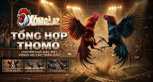 Hot Thomo – Tổng Hợp Các Trận Đấu Hay Nhất Thomo Hàng Ngày