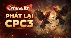 Phát Lại CPC3 – Tổng Hợp Video Đá Gà Tại Bồ CPC3 Trên Xóm Gà AZ
