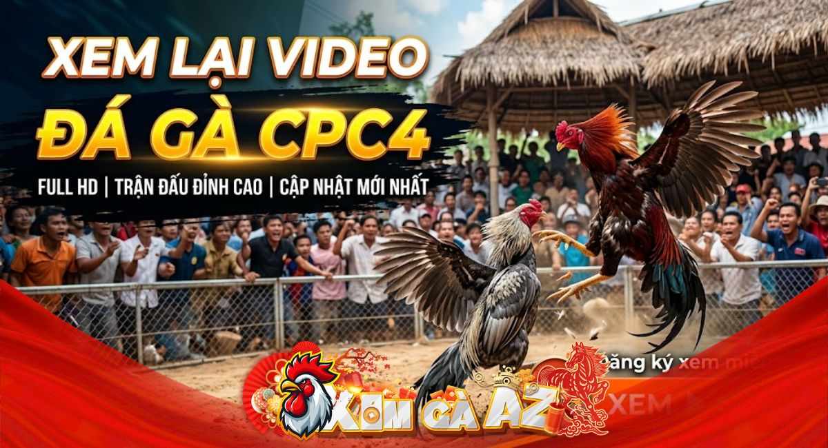 Phát Lại CPC4 – Tổng Hợp Trận Đá Gà Kịch Tính Nhất Hôm Nay Trên Xóm Gà AZ