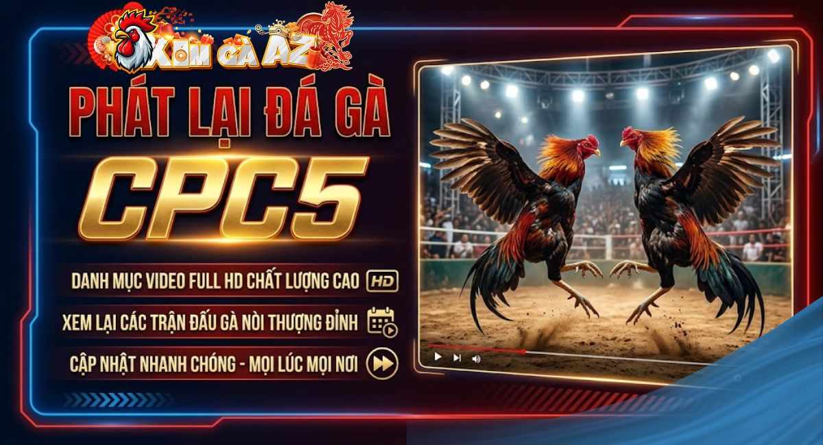 Phát Lại CPC5 – Tuyển Chọn Những Trận Đá Gà Đỉnh Cao Tại Bồ C5 Trên Xóm GÀ AZ