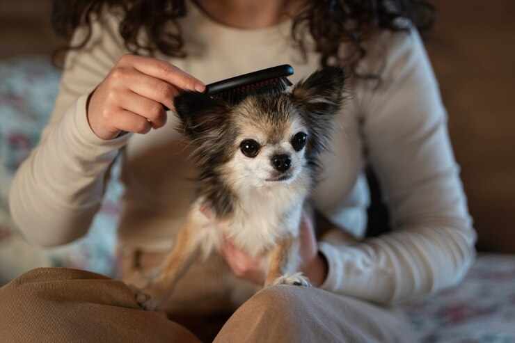 Choosing the Right Anti-Knot Grooming Comb For Your Pet