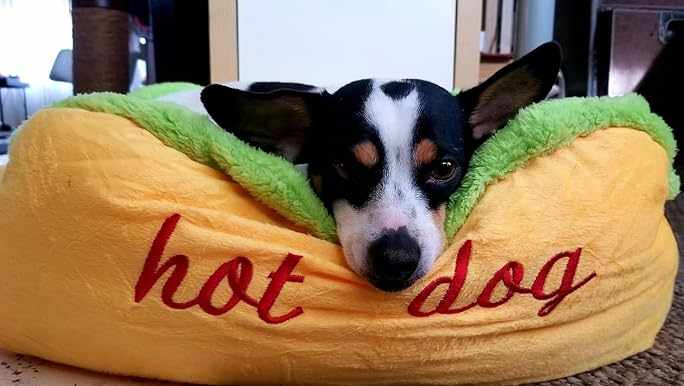 Transform Your Pet's Napping Spot with a Hotdog Dog Bed