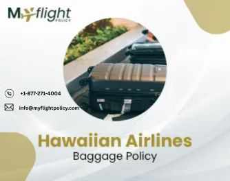 How Do I Track Lost Baggage Under the Hawaiian Airlines Baggage Policy?