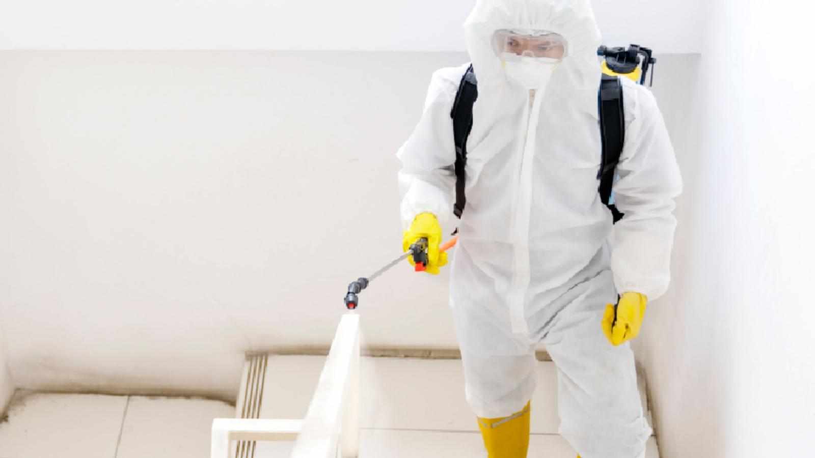 How Certified Mold Remediation Companies Ensure Healthy Spaces?